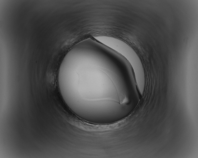 X0000086880031200705071211