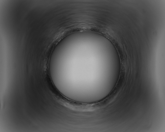 X0000086880032200705071211