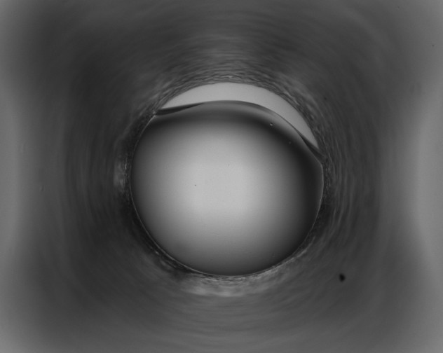 X0000086880033200705071211