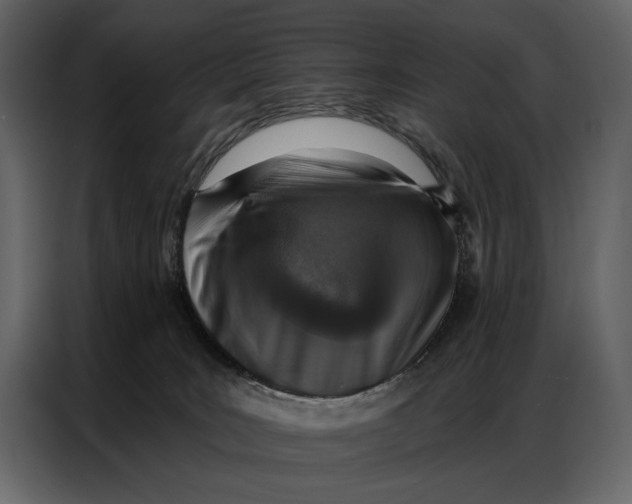 X0000086880035200705071211