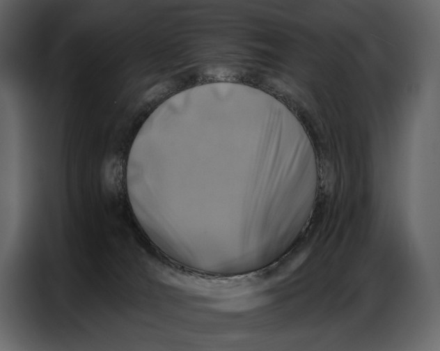 X0000086880036200705071211