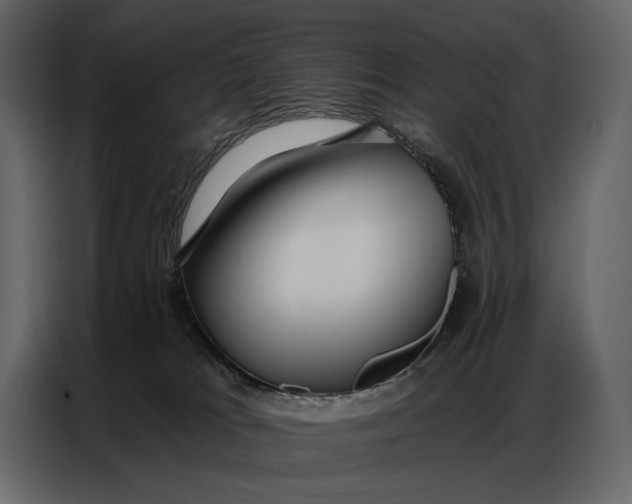 X0000086880037200705071211