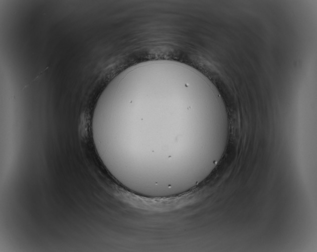 X0000086880038200705071211