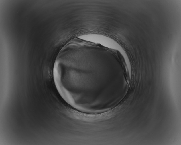 X0000086880039200705071211