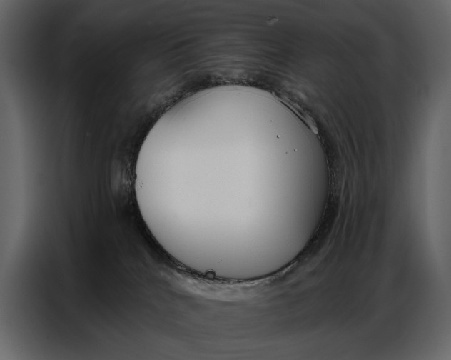 X0000086880040200705071211