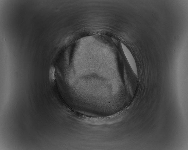 X0000086880041200705071211