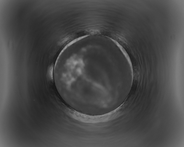 X0000086880047200705071211