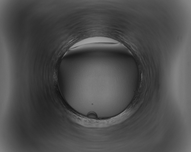 X0000086880048200705071211