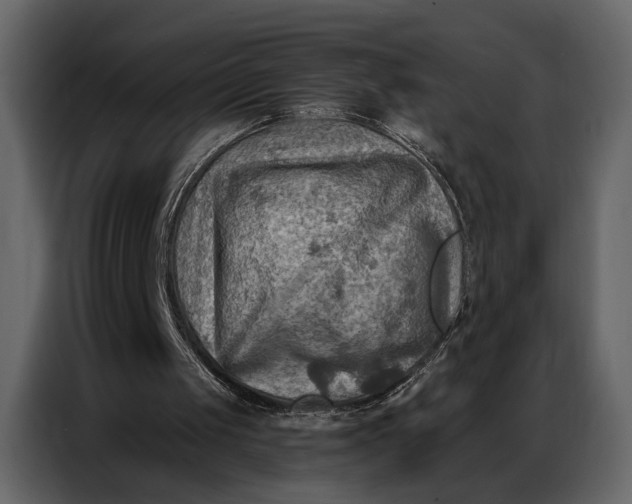 X0000086880049200705071210