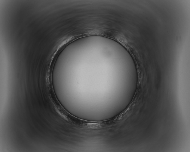 X0000086880050200705071210