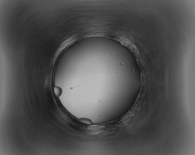 X0000086880051200705071210