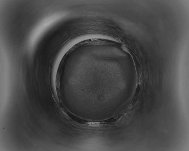 X0000086880052200705071210