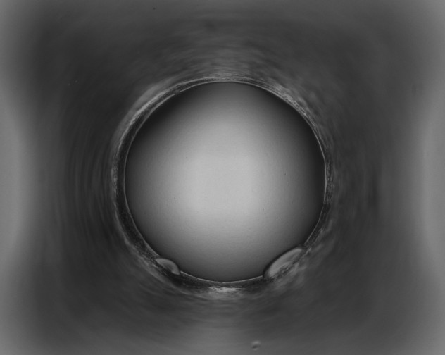 X0000086880055200705071210