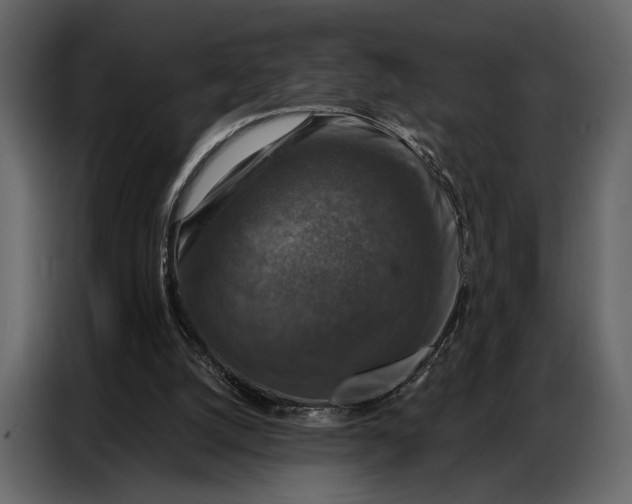 X0000086880056200705071210