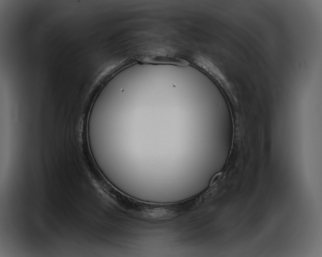 X0000086880058200705071210