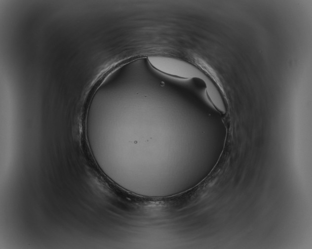 X0000086880059200705071210