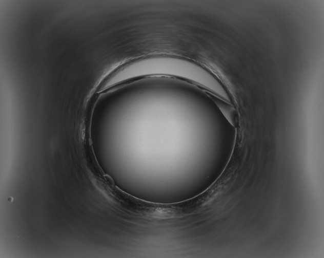 X0000086880060200705071210