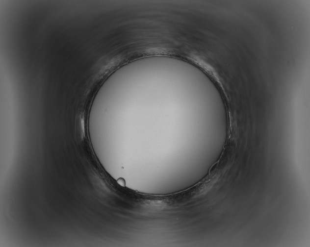 X0000086880061200705071210