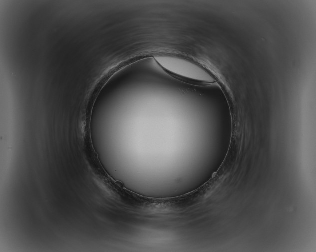 X0000086880063200705071210