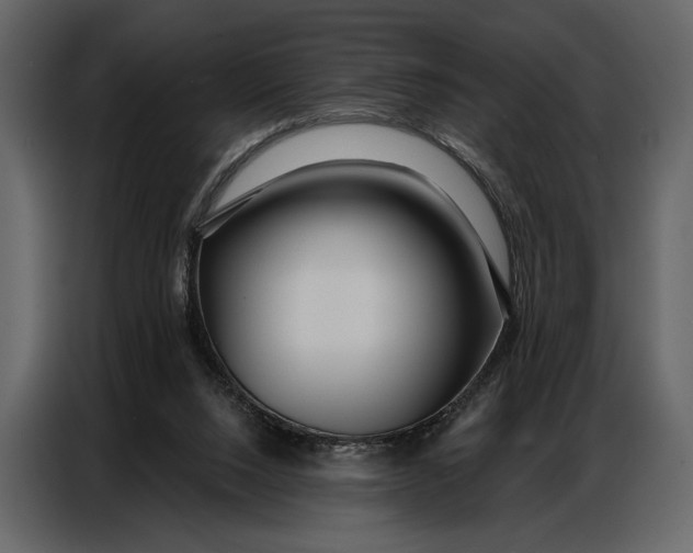 X0000086880064200705071210