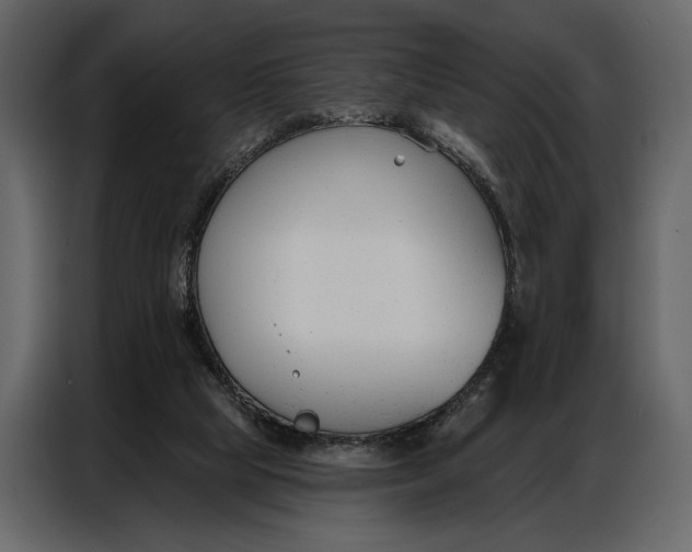 X0000086880065200705071210