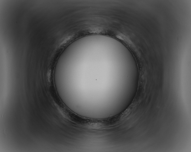 X0000086880066200705071210