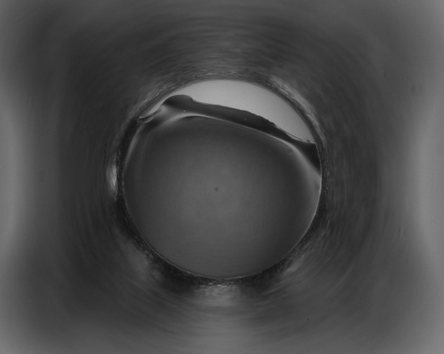 X0000086880067200705071210