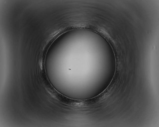 X0000086880068200705071210