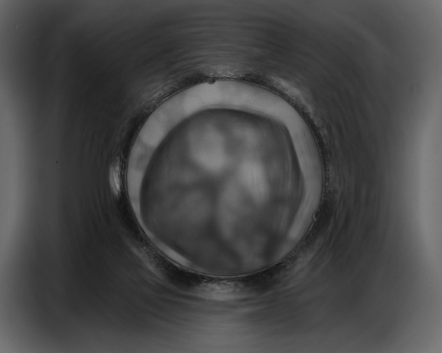 X0000086880069200705071210