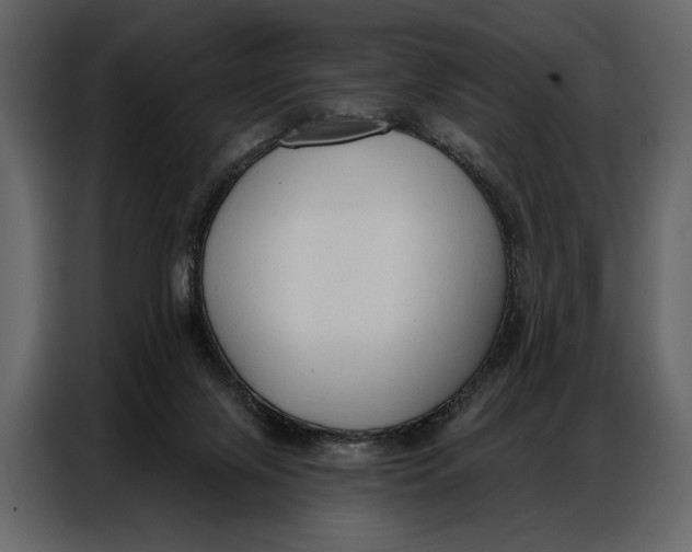 X0000086880071200705071210