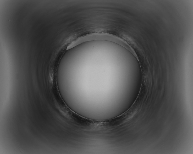 X0000086880072200705071210