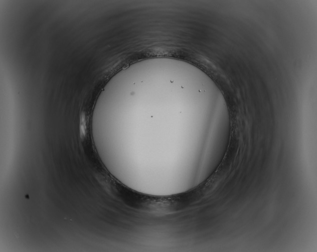 X0000086880075200705071210