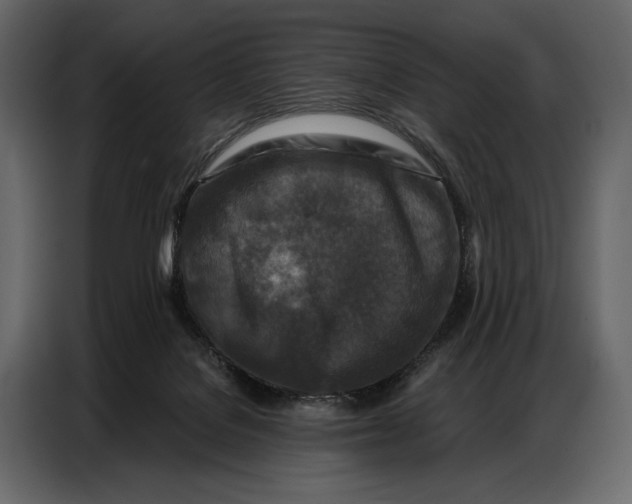 X0000086880076200705071210