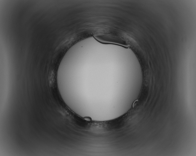 X0000086880077200705071210