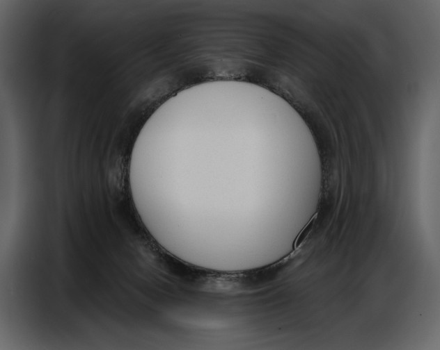 X0000086880078200705071210