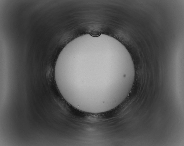 X0000086880079200705071211