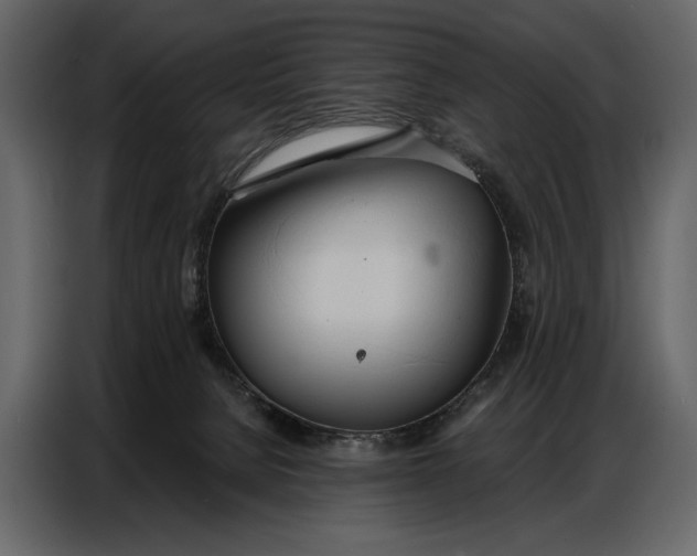 X0000086880080200705071211