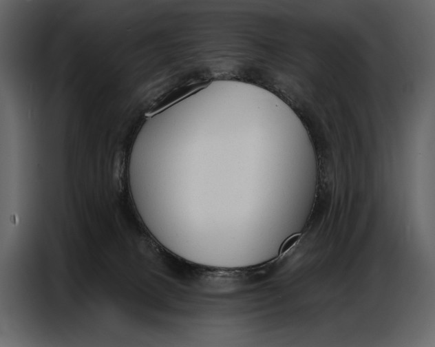 X0000086880082200705071211