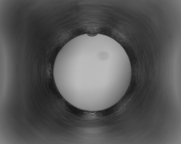 X0000086880083200705071211