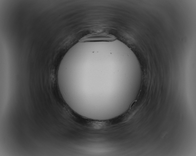 X0000086880085200705071211