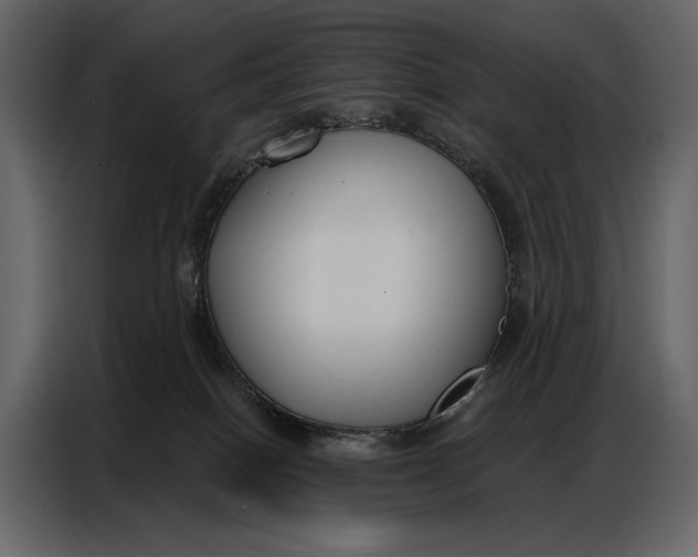 X0000086880086200705071211