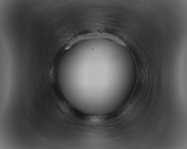 X0000086880088200705071211