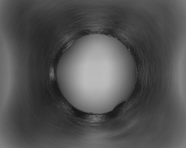 X0000086880089200705071211