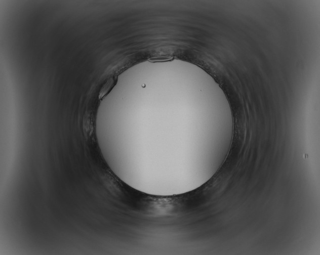 X0000086880091200705071211