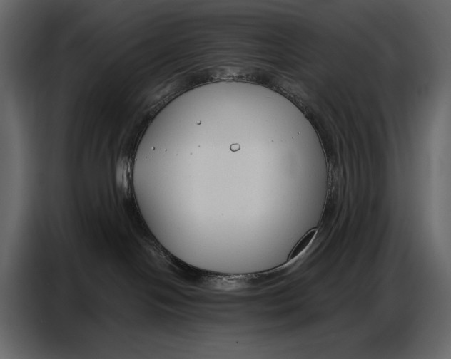 X0000086880094200705071211