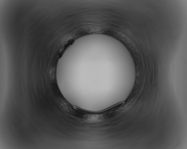 X0000086880096200705071211