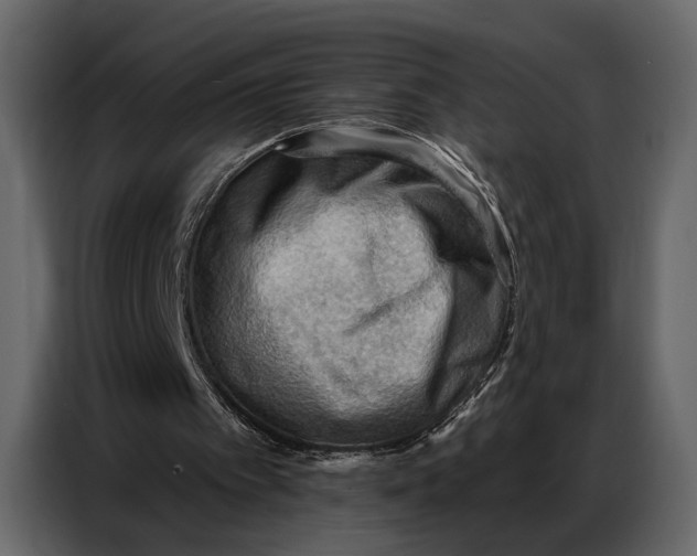 X0000086880097200705071210