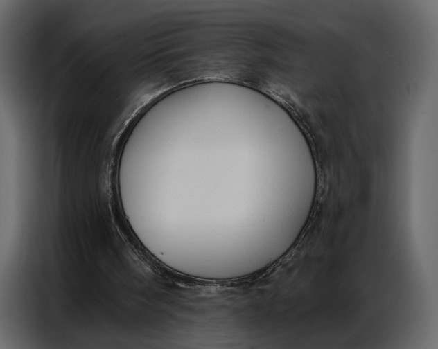 X0000086880098200705071210