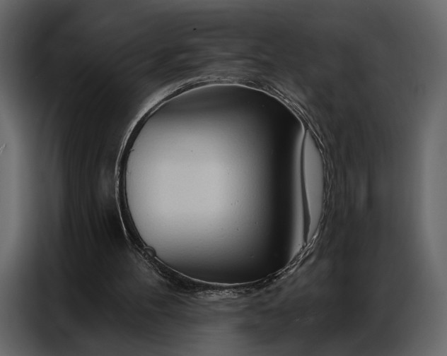 X0000086880100200705071210