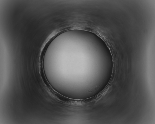 X0000086880102200705071210